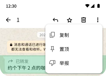 WhatsApp 上可保护隐私和安全的复制、置顶和举报功能示例