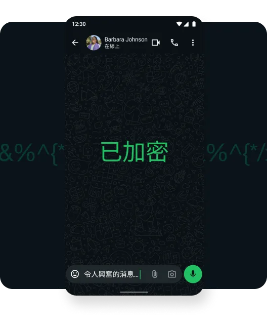 顯示個人訊息和通話受到保護的端對端加密畫面螢幕截圖